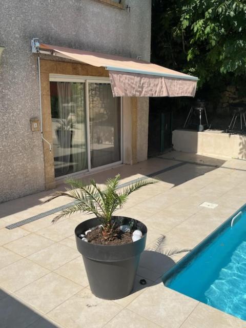 L'Appartement Du Micocoulier Salon-de-Provence Dış mekan fotoğraf